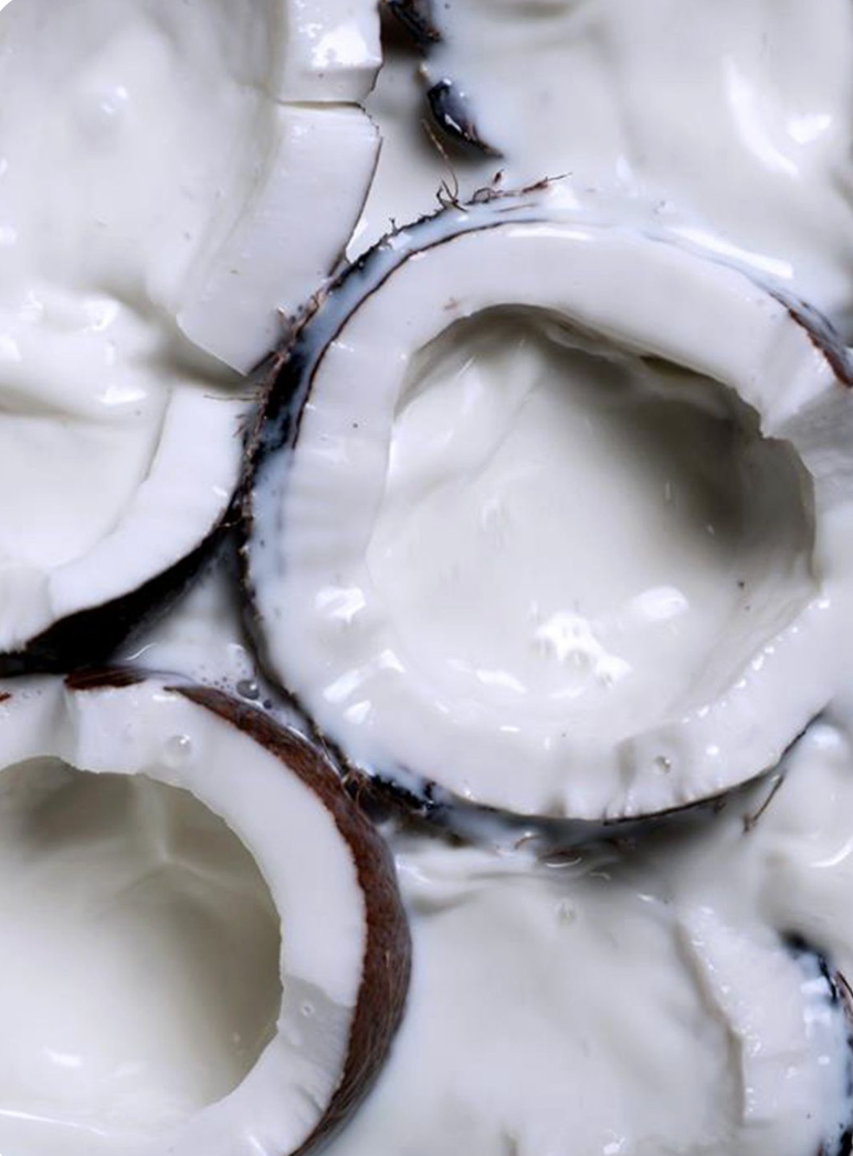 NOUGAT AU LAIT DE COCO